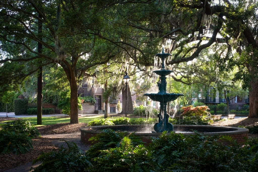 An ornate green cast-iron fountain in a Savannah square, framed by live oaks draped in Spanish moss and surrounded by lush ferns in dappled light